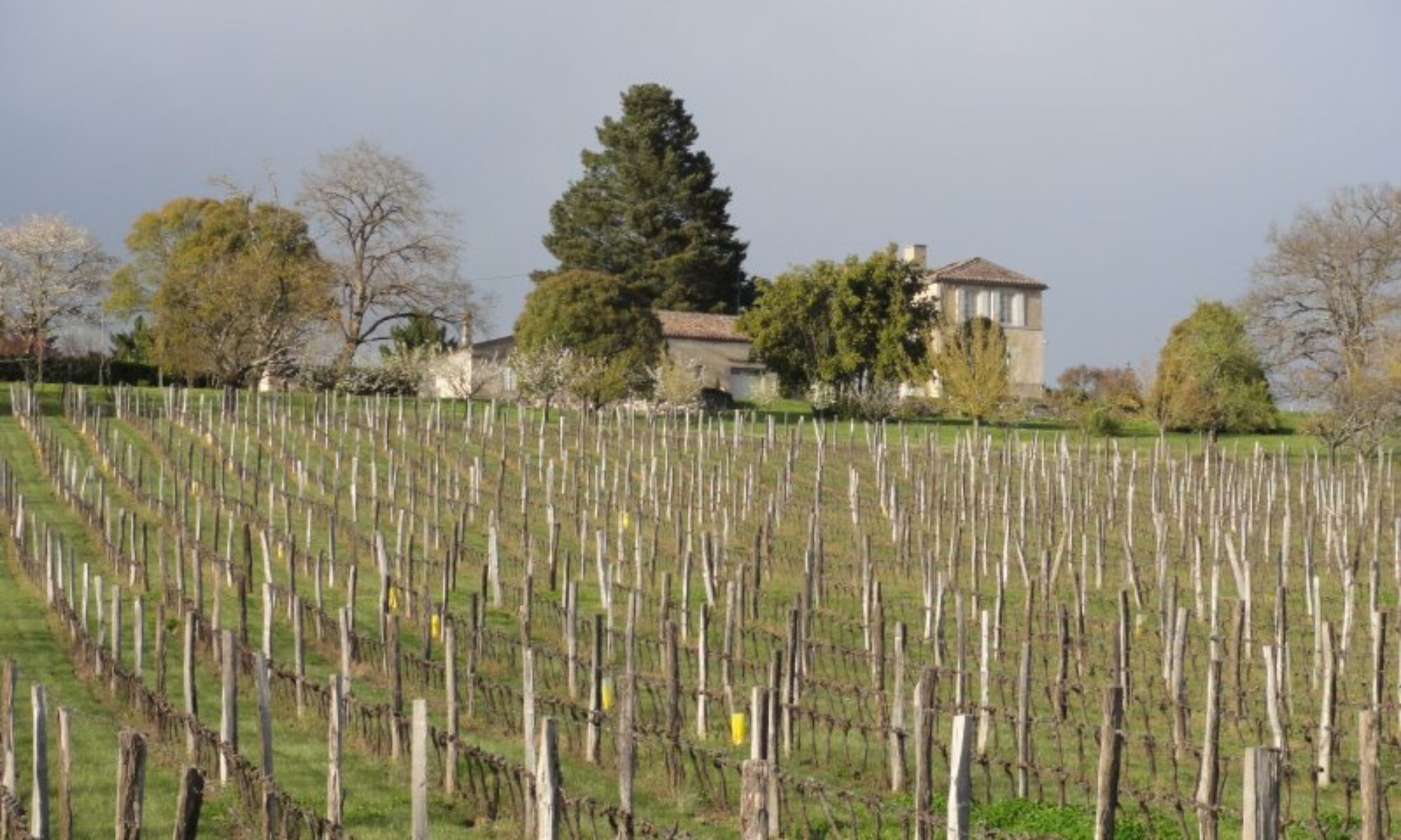 Le Domaine en repos d'hiver